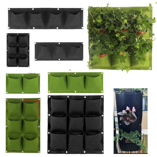Vertical Garden / Plant Wall