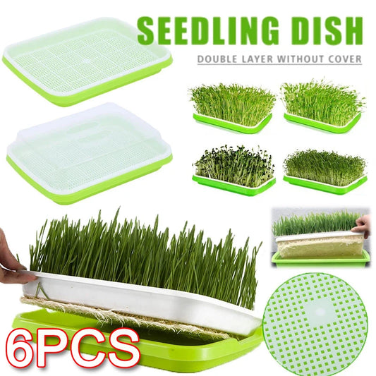 2/4/6set Sprout Dish Growing Pot Hydroponic Vegetable Beans Seeding Pot Household Plants Germination Tray Nursery With Lid Kits